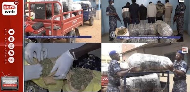 Trafic de drogue : La gendarmerie saisit 860 kg de chanvre indien, entre Thiès et Dakar, 08 personnes interpellées