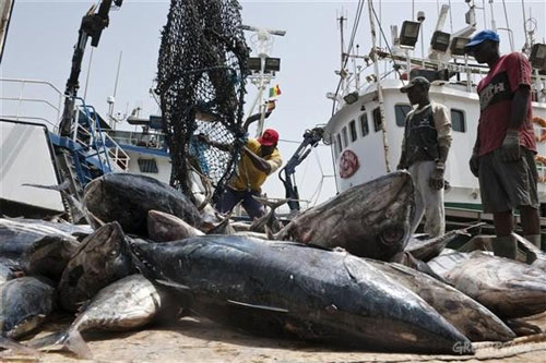 RANSPARENCE SUR LES LICENCES DE PÊCHE Greenpeace Afrique appelle le Sénégal à suivre l’exemple de la Mauritanie….