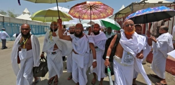 A La Mecque, les pèlerins confrontés au défi de la chaleur extrême